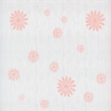 野菊花